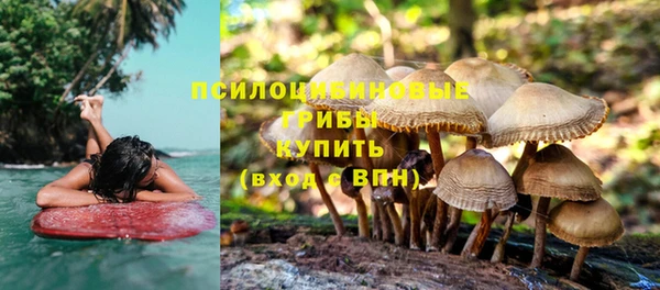 спайс Абинск
