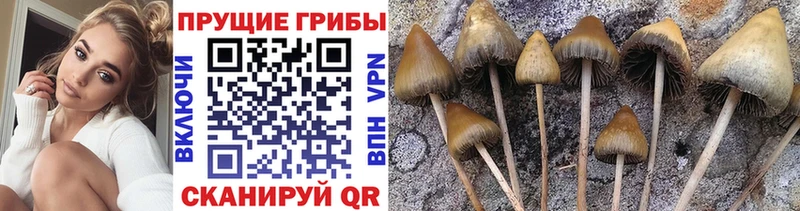 Галлюциногенные грибы MAGIC MUSHROOMS  Азов 